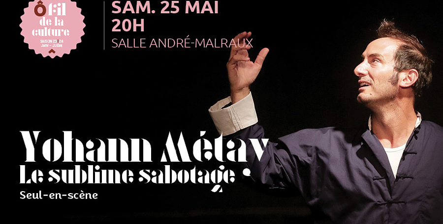 Yohann Métay Le sublime sabotage